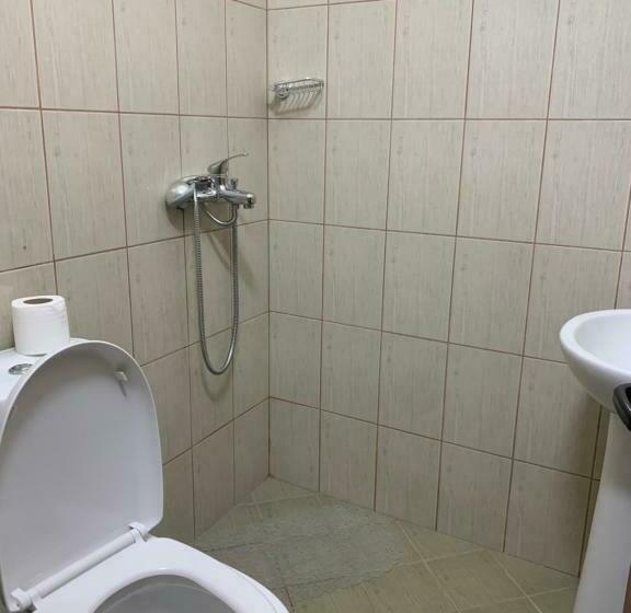 اتاق اکونومی, Vila Eljus