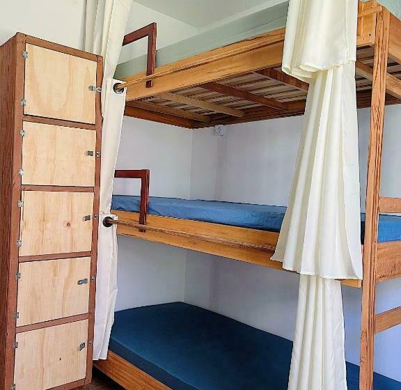 Семейный Номер, Hostel Coraticum