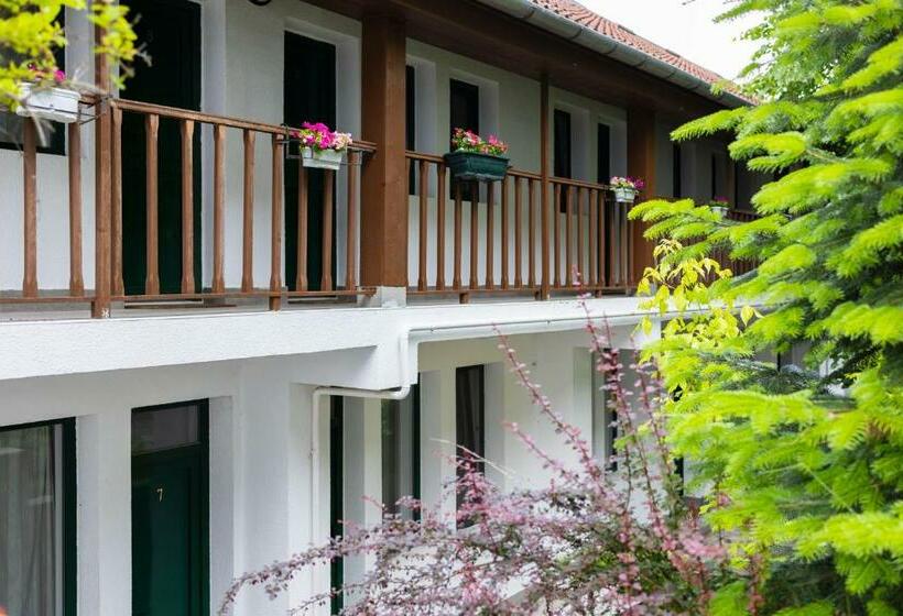 Четырехместный Номер Стандарт, Pensiunea 7 Tei