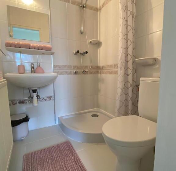 غرفة قياسية مطلّة علي الحديقة, Vázsonyi Vendégház