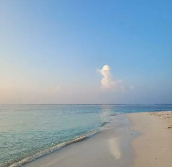 اتاق استاندارد, Fehi Velaa Stay