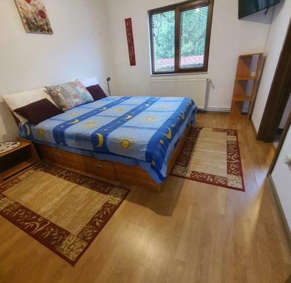 غرفة قياسية, Pensiunea Geta