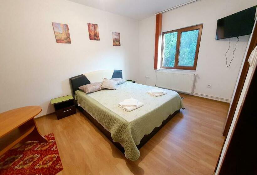 غرفة قياسية سرير كينج, Pensiunea Geta