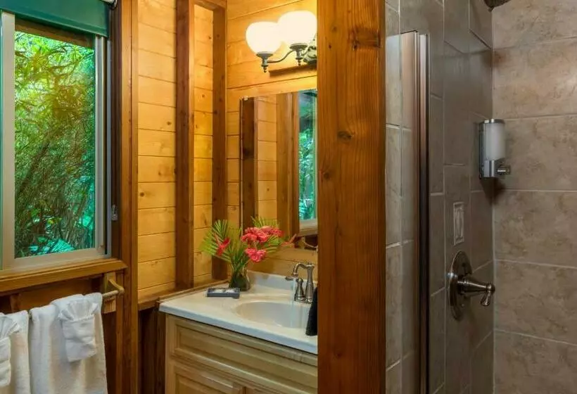 Standard-bungalow, Volcano Village Lodge