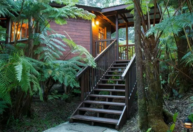 Standard-bungalow, Volcano Village Lodge