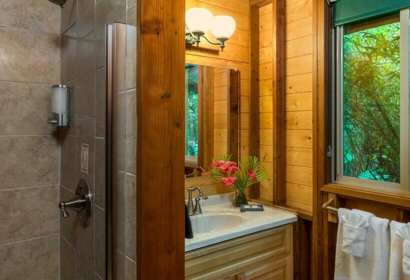 Бунгало Стандарт, Volcano Village Lodge