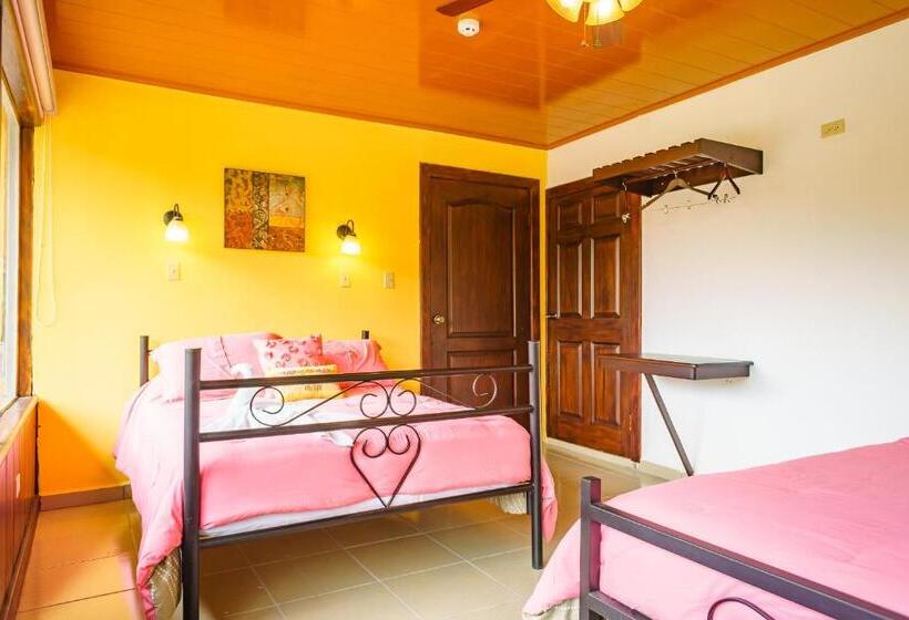 4인용 스탠다드 룸, Central Boquete