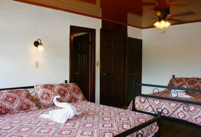 4인용 스탠다드 룸, Central Boquete