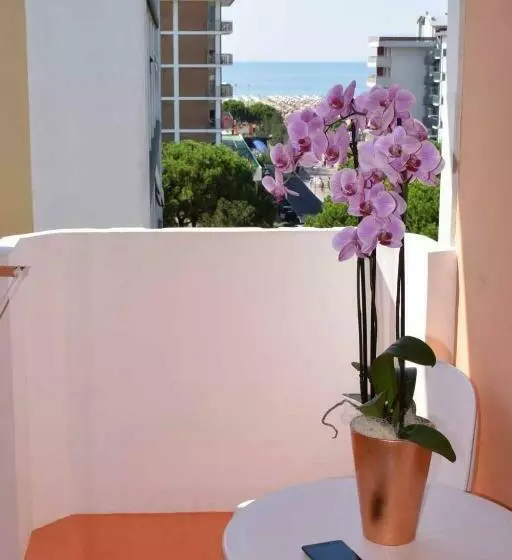 اتاق استاندارد, Continental B&b City