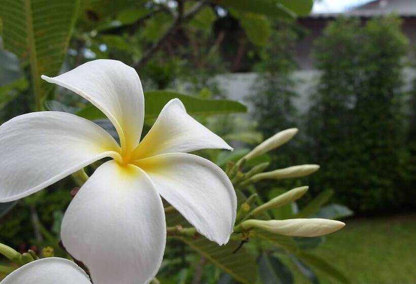 غرفة عائلية, Crystal Lamai