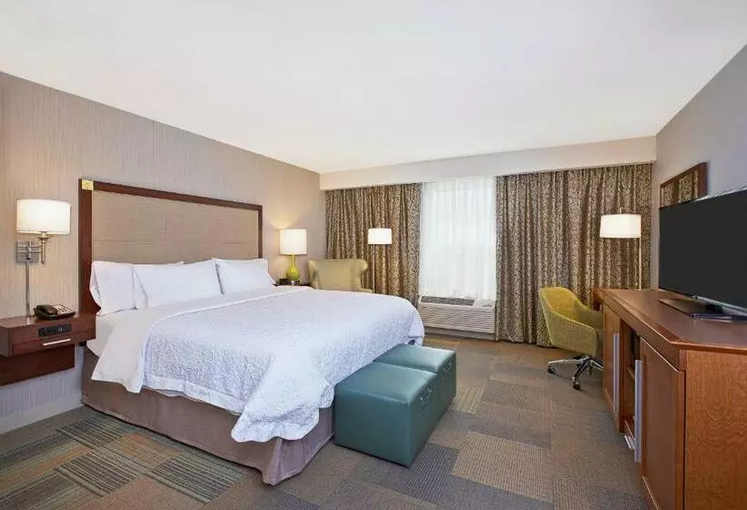 身障者適用キングサイズベッドルーム, Hampton Inn By Hilton West Bloomfield Novi