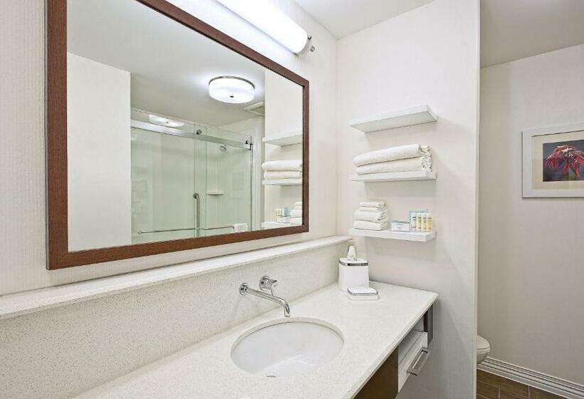 סטודיו סטנדרט, מיטה זוגית, Hampton Inn By Hilton West Bloomfield Novi