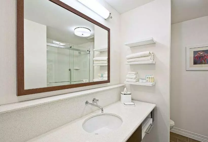 身障者適用キングサイズベッドルーム, Hampton Inn By Hilton West Bloomfield Novi
