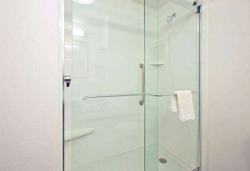 חדר סטנדרט עם מיטת קינג, Hampton Inn By Hilton West Bloomfield Novi