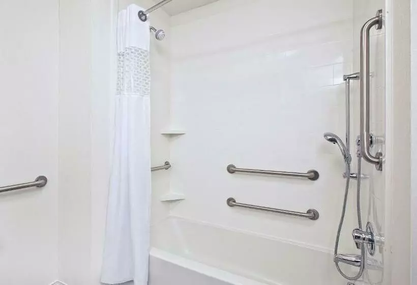身障者適用キングサイズベッドルーム, Hampton Inn By Hilton West Bloomfield Novi