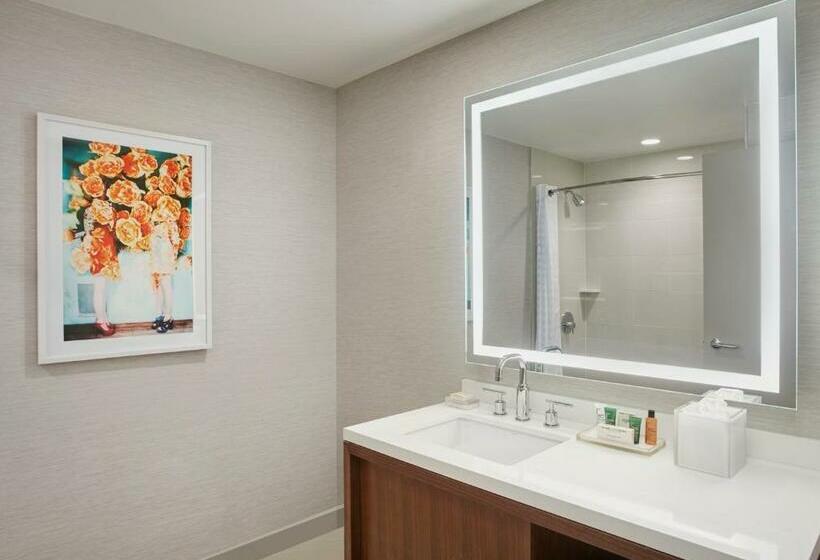 Номер Deluxe Вид на Бассейн, Hilton West Palm Beach