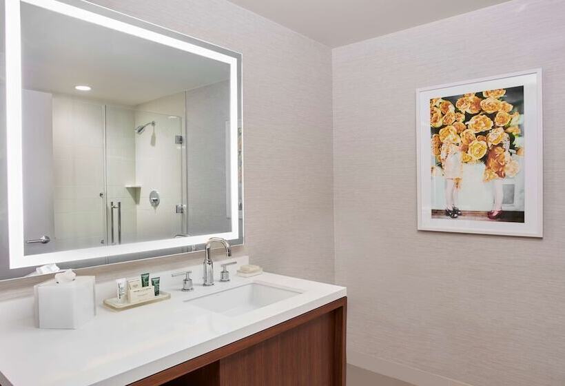 غرفه قياسيه سريرين مزدوجين, Hilton West Palm Beach