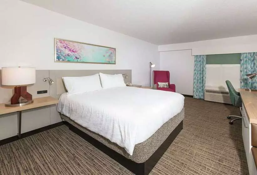 Deluxe-huone King-vuode Kaupunkinäkymä, Hilton West Palm Beach