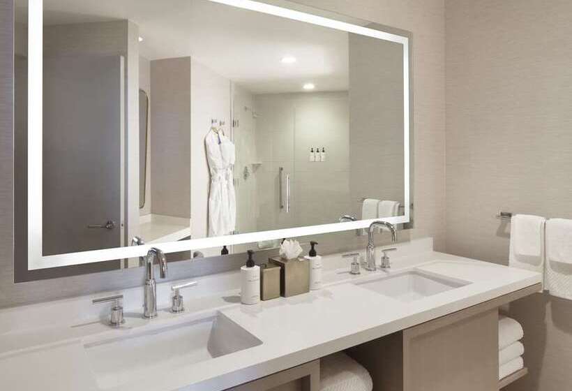 غرفة قياسية مطلة على المدينة, Hilton West Palm Beach