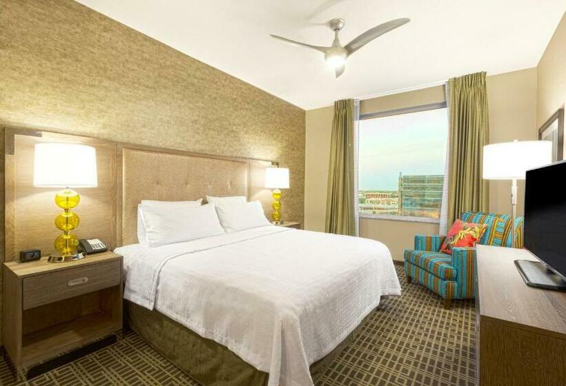 جناح ديلوكس سرير كينج, Homewood Suites Houston Downtown