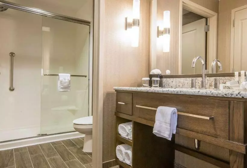 キングサイズベッドのデラックススイート, Homewood Suites by Hilton Houston Downtown