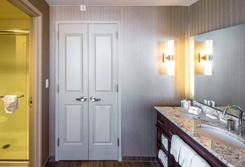 套房, Homewood Suites Houston Downtown