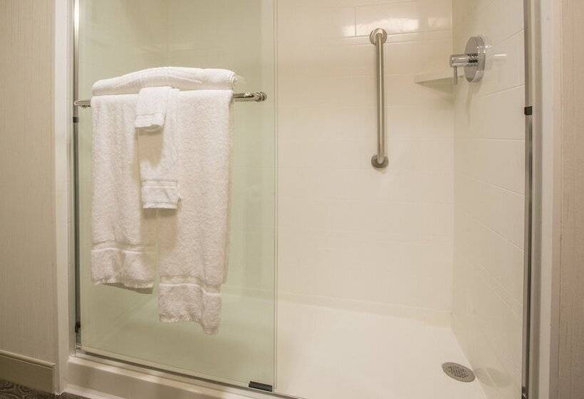 جناح لذوى الاحتياجات الخاصة, Homewood Suites Houston Downtown