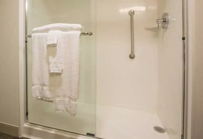 身障者適用スイートルーム, Homewood Suites by Hilton Houston Downtown