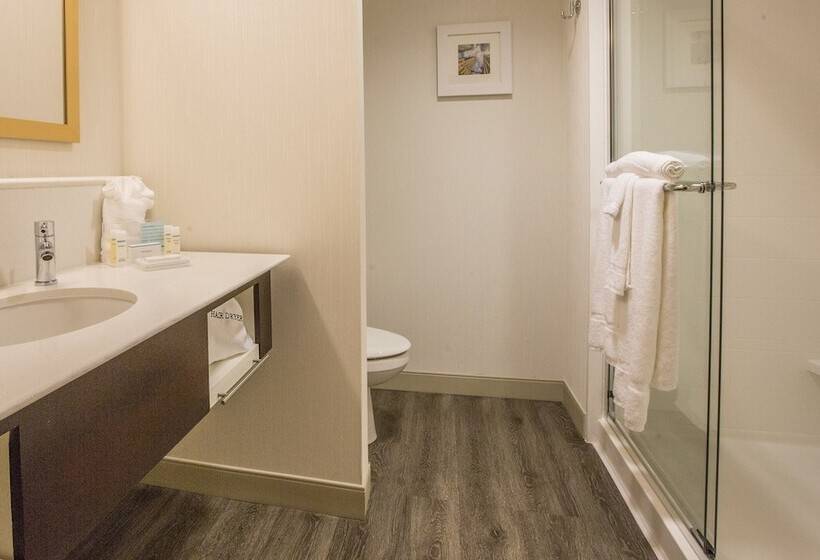 جناح لذوى الاحتياجات الخاصة, Homewood Suites Houston Downtown