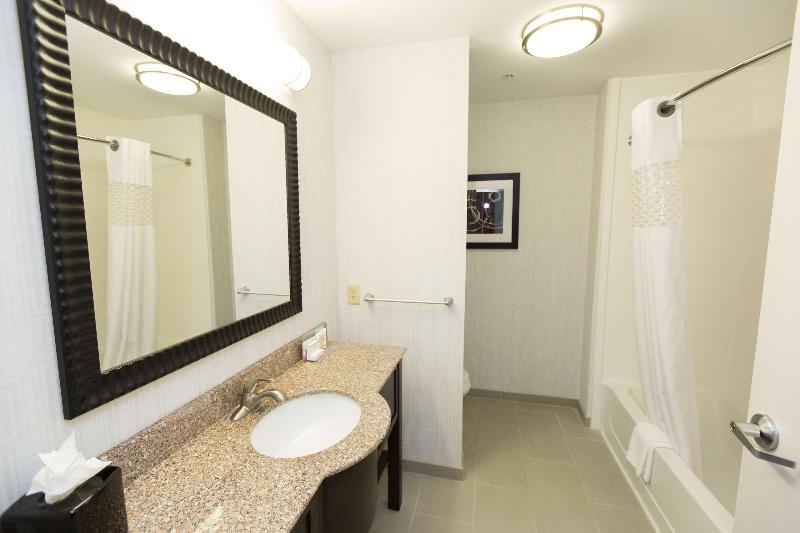 إستوديو قياسى سرير كينج, Homewood Suites Houston Downtown