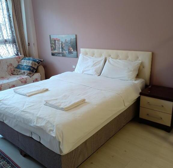اتاق اکونومی, Istanbul Hotel&guesthouse