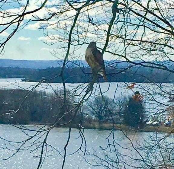 レイクビュースタンダードルーム, Oakcliff Bed And Breakfast