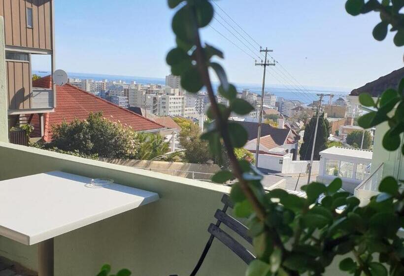 スタンダードスタジオ, Leeuwenzee Guesthouse