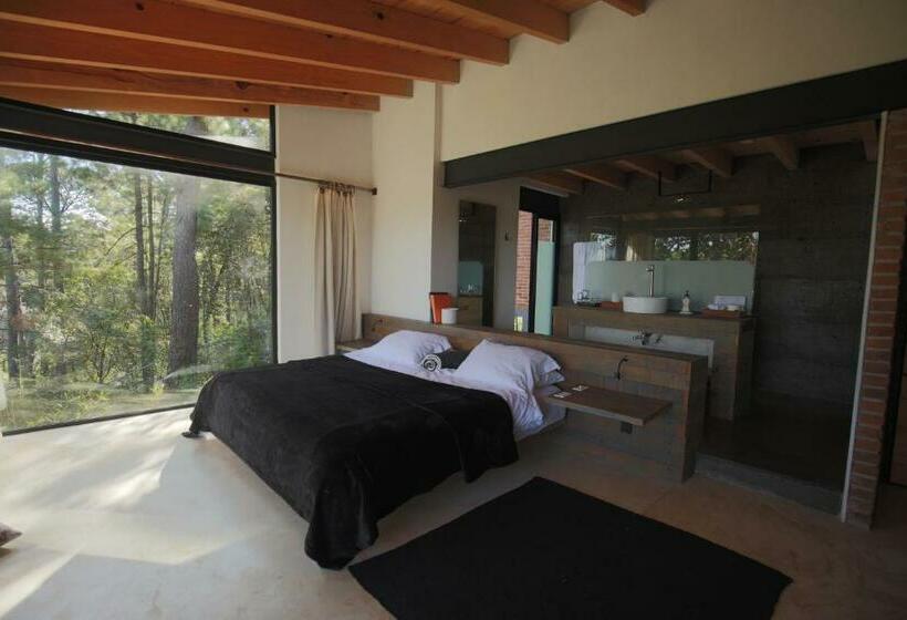 标准间带露台, Xomue