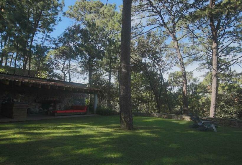 标准间带露台, Xomue