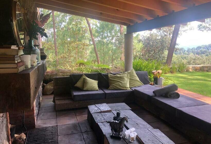 标准间带露台, Xomue