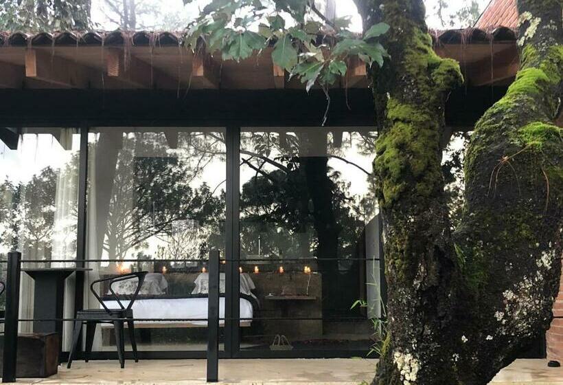 标准间带露台, Xomue