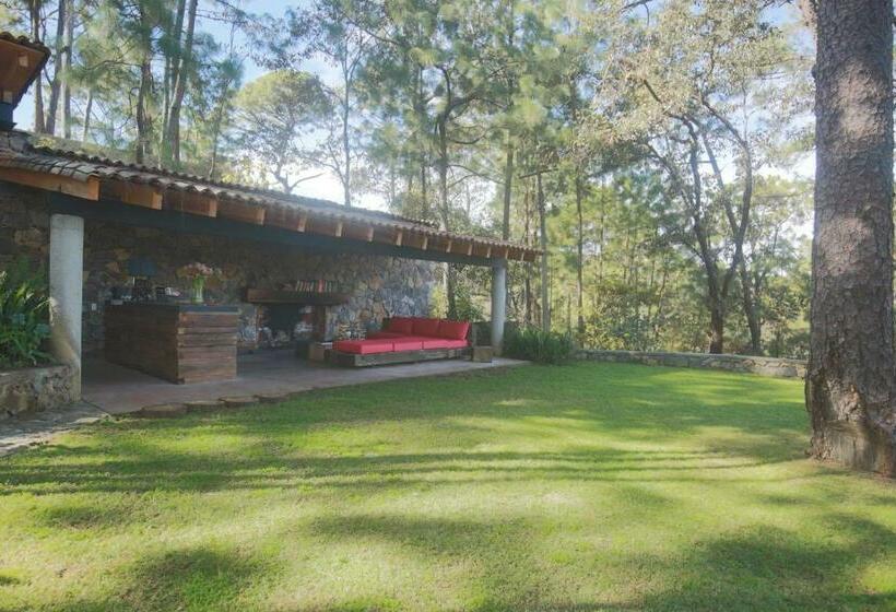 标准间带露台, Xomue