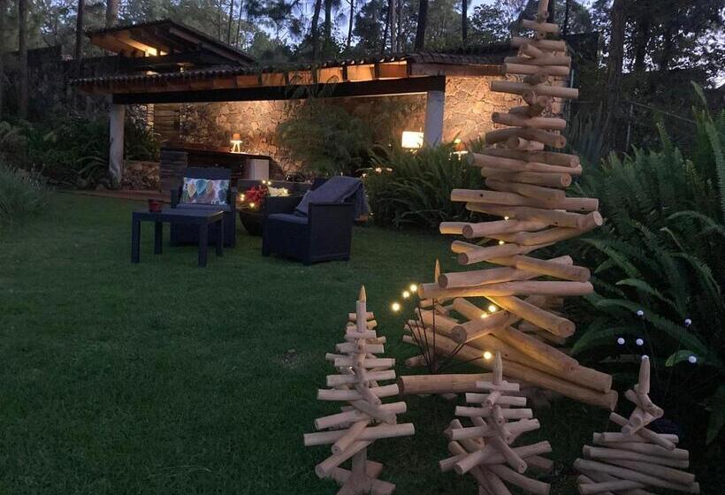 标准间带露台, Xomue