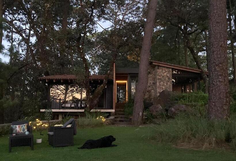 标准间带露台, Xomue