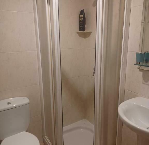 スタンダードルーム, O Camiño