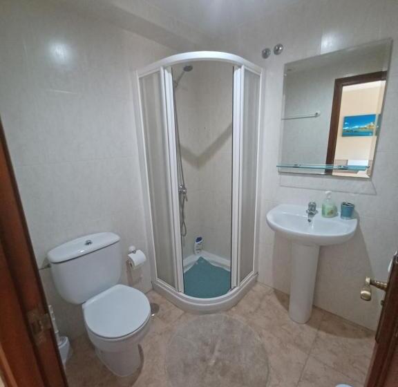 スタンダードルーム, O Camiño