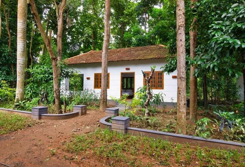 キャビン, Softouch Ayurveda Village Kerala