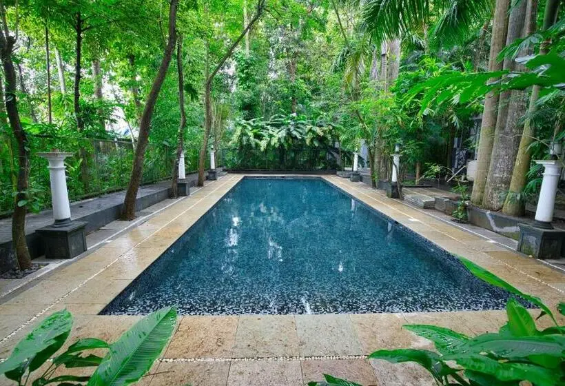 キャビン, Softouch Ayurveda Village Kerala