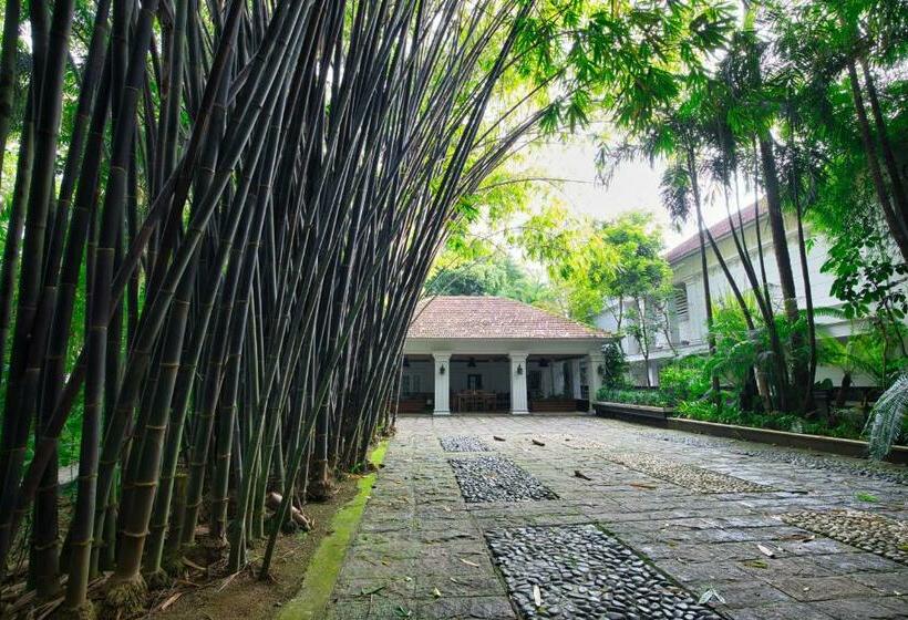 プールビュースタンダードステューディオ, Softouch Ayurveda Village Kerala