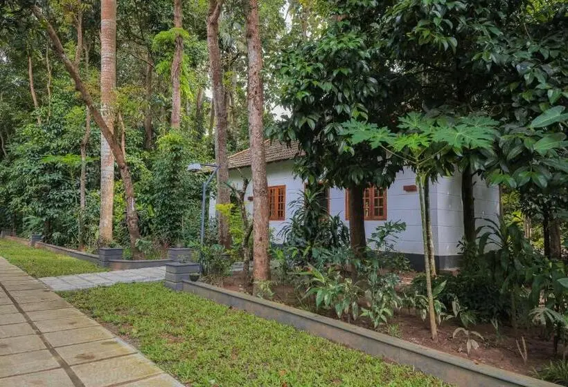 キャビン, Softouch Ayurveda Village Kerala
