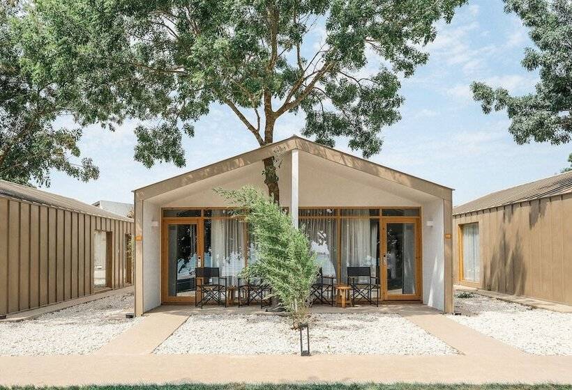 جناح جونيور مطلّ علي البحر, Nayu Igneada