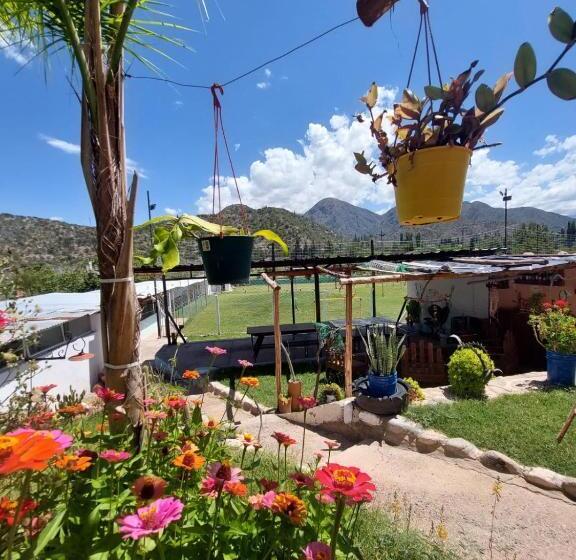 Номер Deluxe, El Gladeador