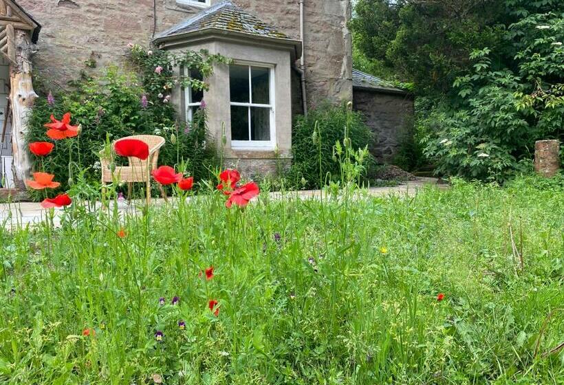 חדר דלוקס, Organic Welltree