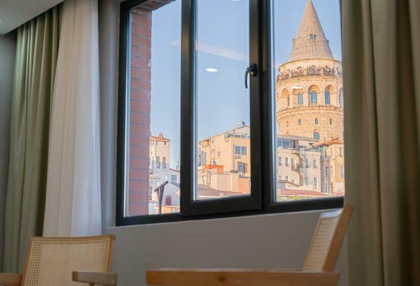 スタンダードルーム, Galata Greenland